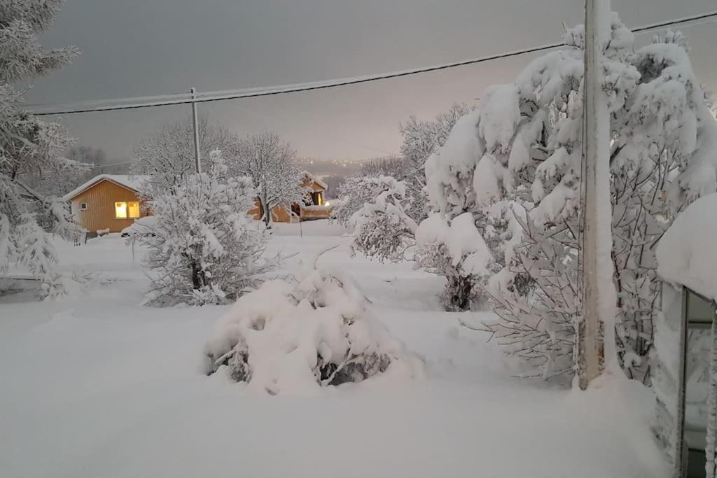 Spacious House In Tromso, Perfect For Groups Of Families, Tourists Or Workers Dış mekan fotoğraf
